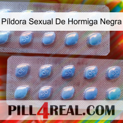 Píldora Sexual De Hormiga Negra viagra4